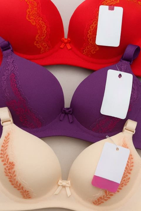 Silk Embroidered Padded Bra for Women – Luxury Undergarment with Soft Silk Fabric, Stylish Embroidery.