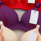 Silk Embroidered Padded Bra for Women – Luxury Undergarment with Soft Silk Fabric, Stylish Embroidery.