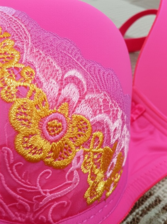 Silk Embroidered Padded Bra for Women – Luxury Undergarment with Soft Silk Fabric, Stylish Embroidery.